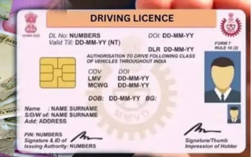 Driving License Print